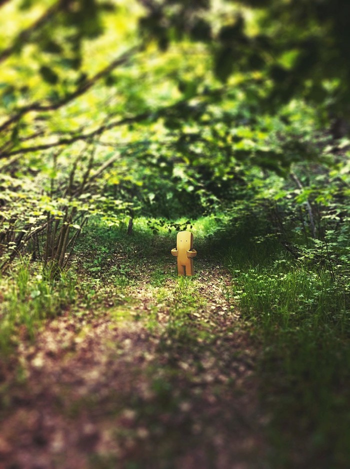 dmitry_maximov3 (1).jpg