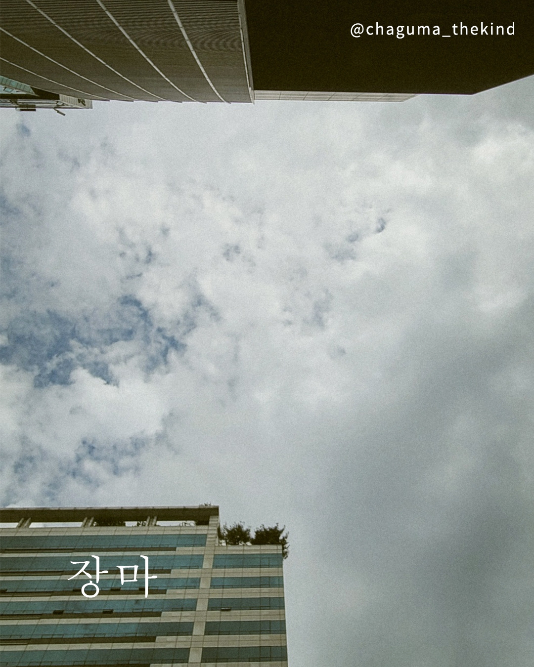 장마.jpg