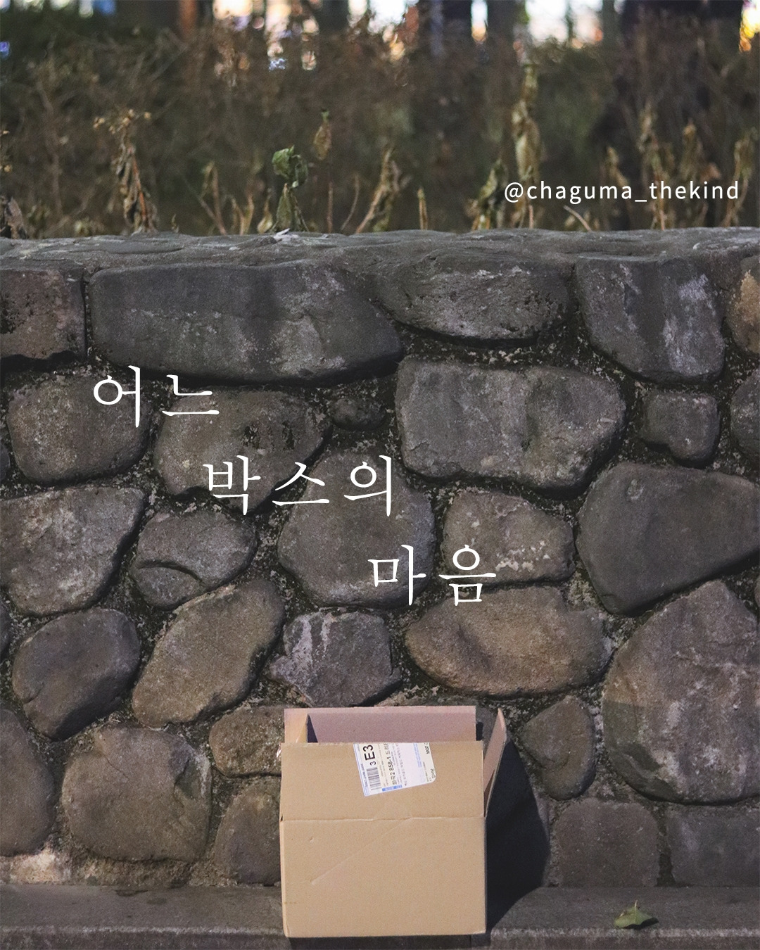 어느 박스의 마음.jpg