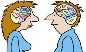 male-female-brain-300x183.jpg