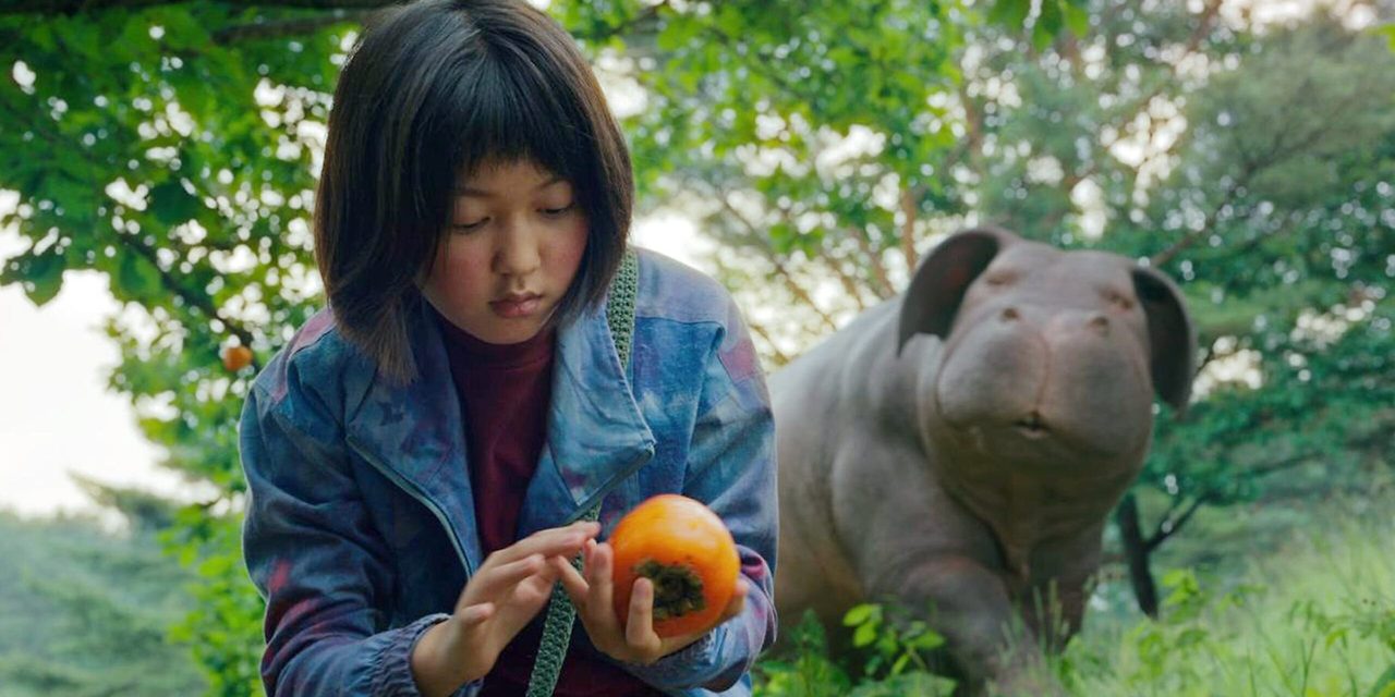 okja2017_feature.jpg