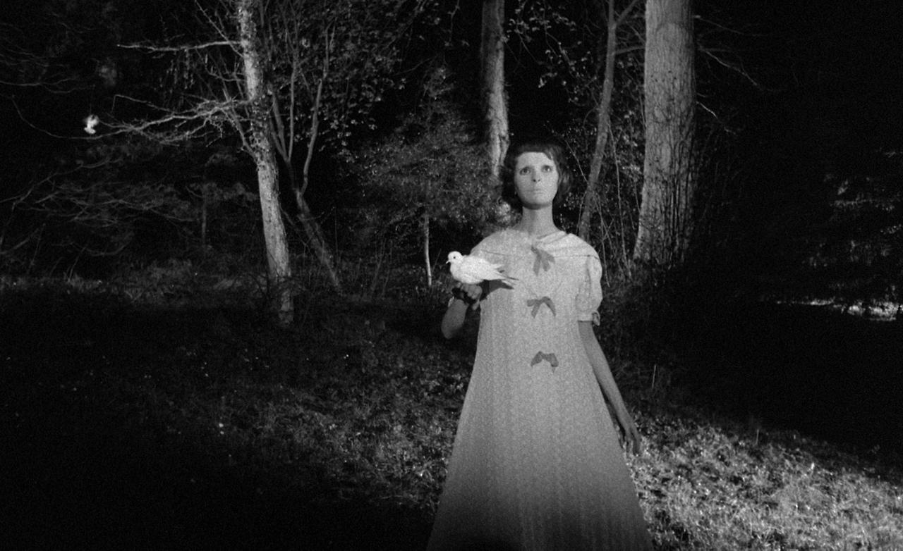 얼굴 없는 눈.jpg