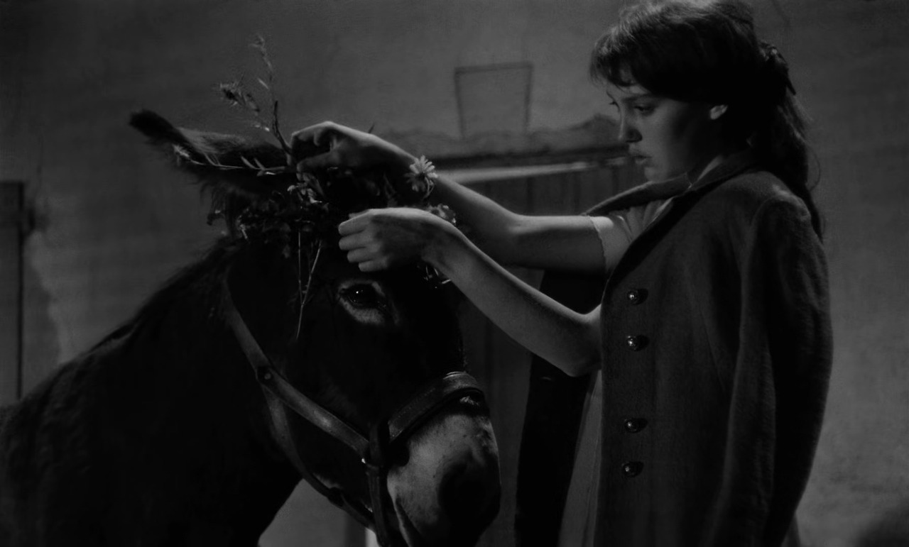 당나귀 발타자르Au.Hasard.Balthazar.1966.FRENCH.1080p.BluRay.x265-VXT.mp4_20220731_135941.127.jpg