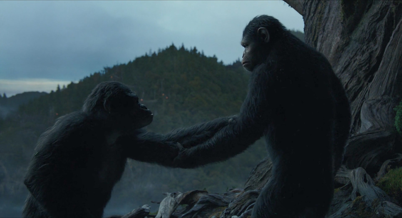 Dawn.of.the.Planet.of.the.Apes.2014.1080p.BluRay.x264.YIFY.mp4_20240429_020026.474.jpg