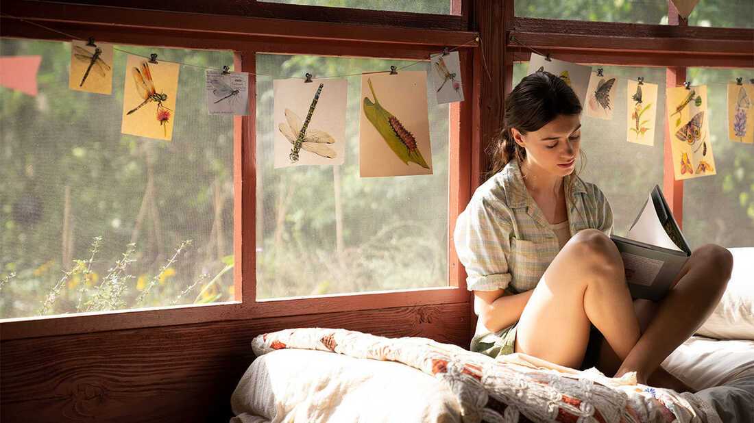 가재가 노래하는 곳18.jpg