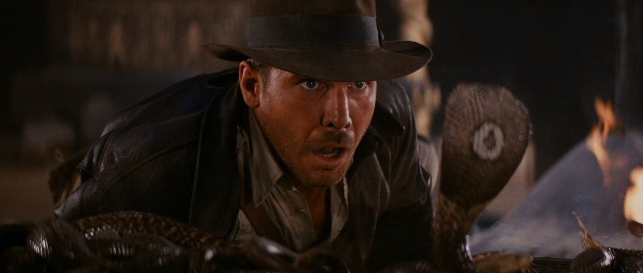 Indiana.Jones.and.the.Raiders.of.the.Lost.Ark.1981.1080p.BluRay.x265-RARBG.mp4_20230523_231620.082.jpg