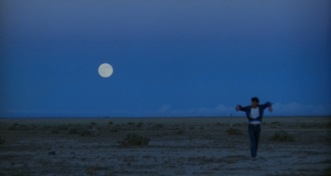 Badlands.1973.1080p.BluRay.x264.AAC5.1-[YTS.MX].mp4_20241216_231914.365.jpg