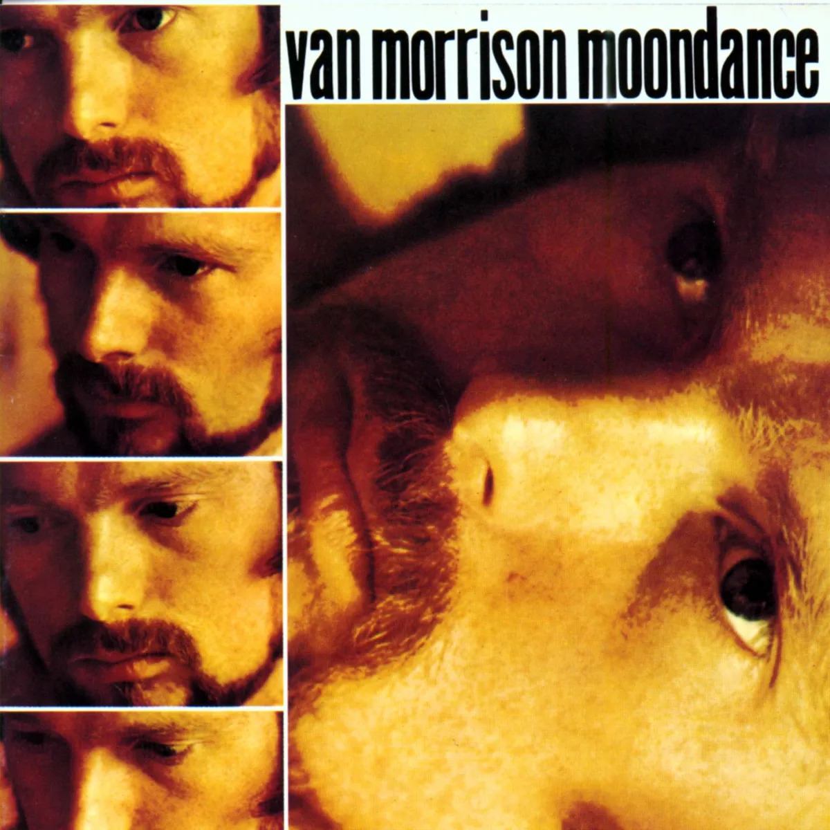 van20morrison_moondance_20original_album_cover.jpg