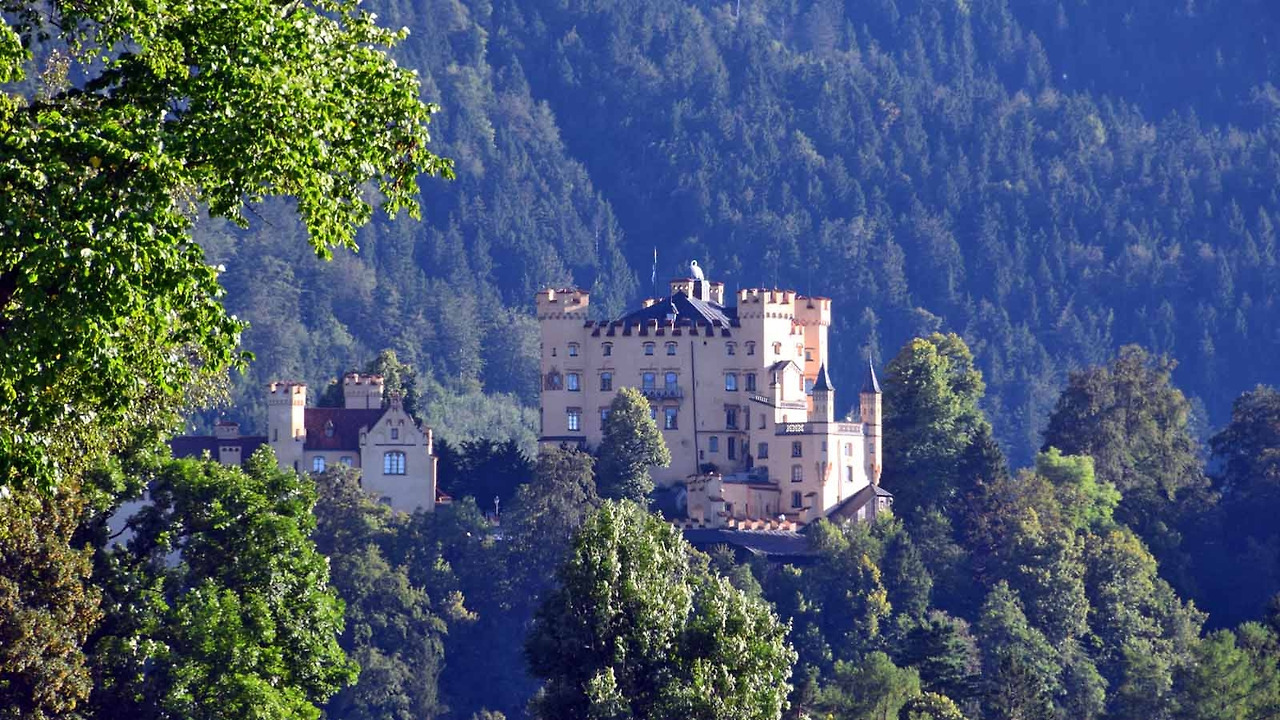 schloss-hohenschwangau-wald.jpg