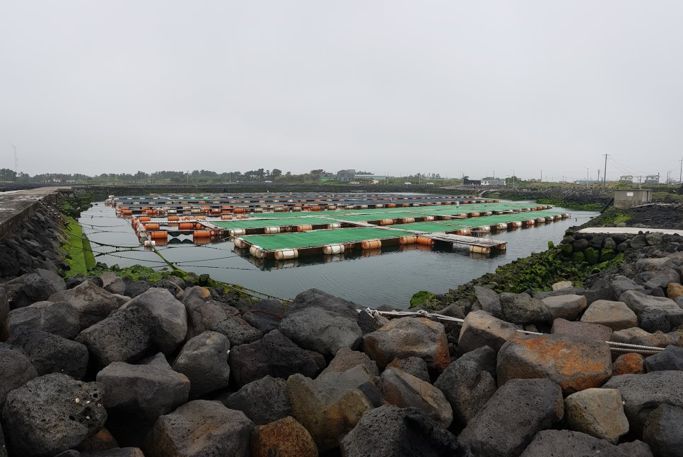 20170505_143343 - 복사본.jpg