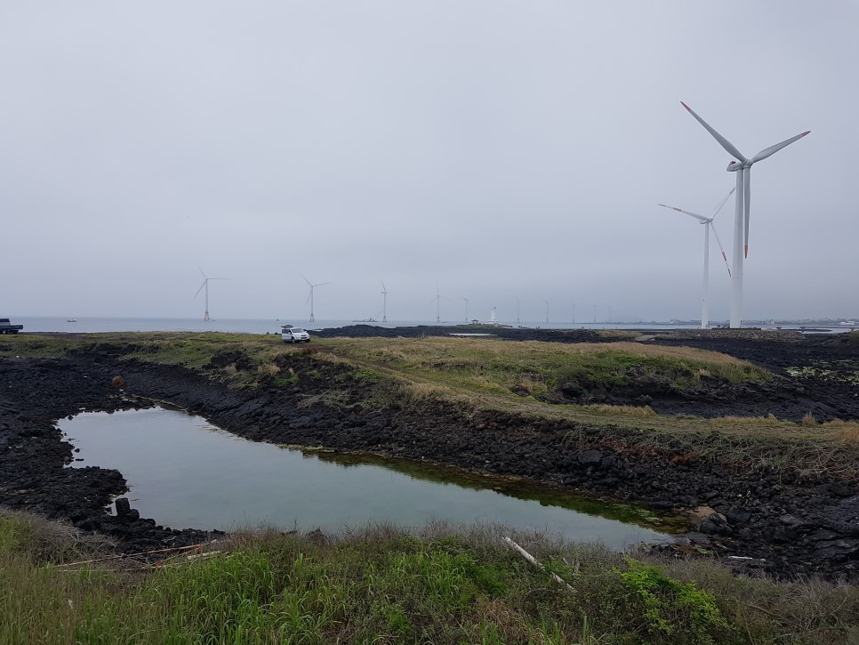 20170505_152051 - 복사본.jpg