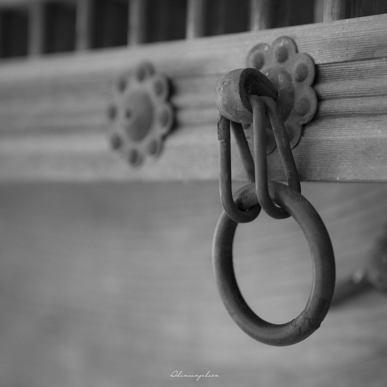 아름다운 고리(서,리).jpg