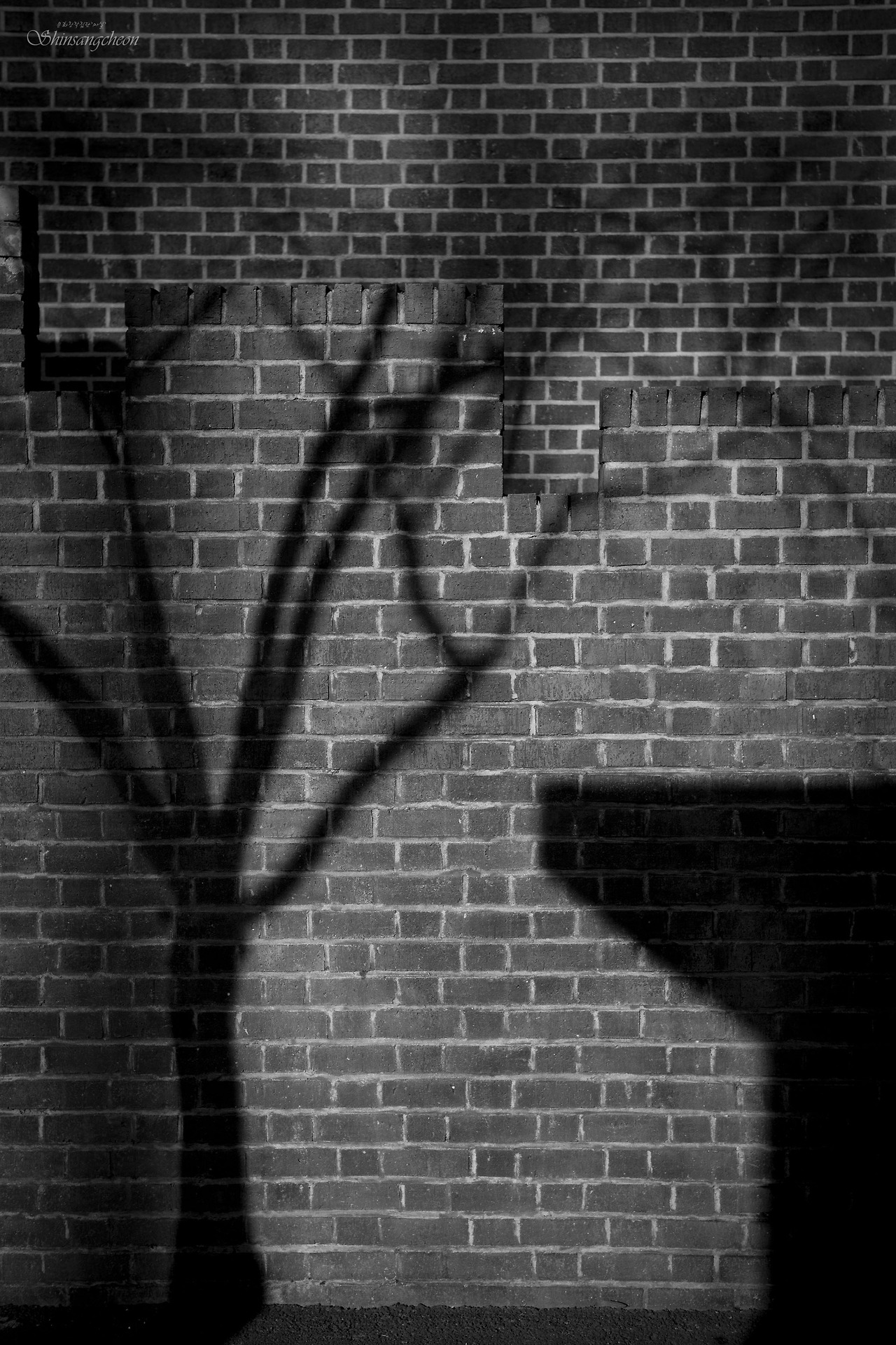 빛과 그림자(리).jpg