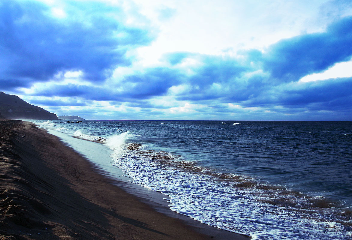 08.5.11(출사) 072.jpg