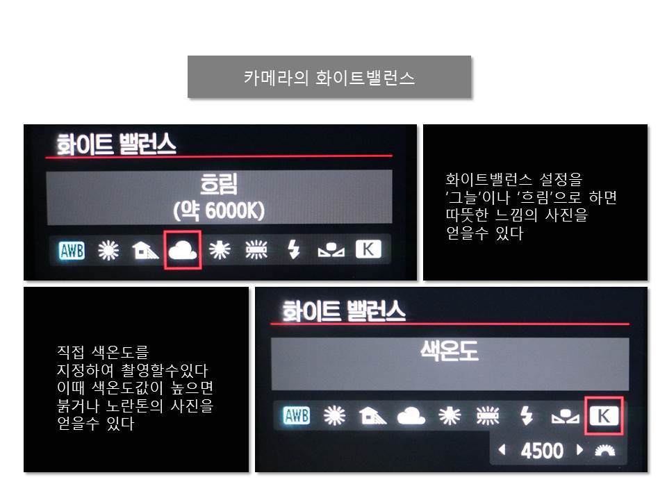 화이트밸런스.jpg