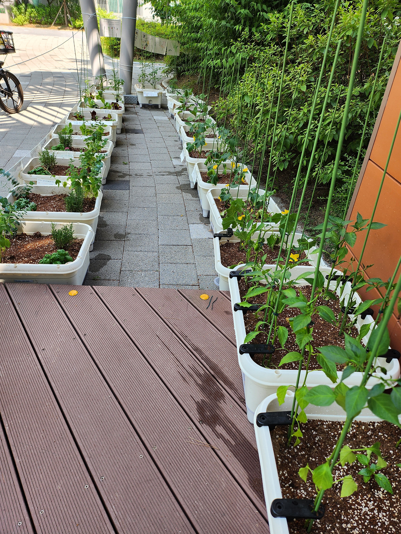 플래닛텃밭_24. 6. 14 (1).jpg