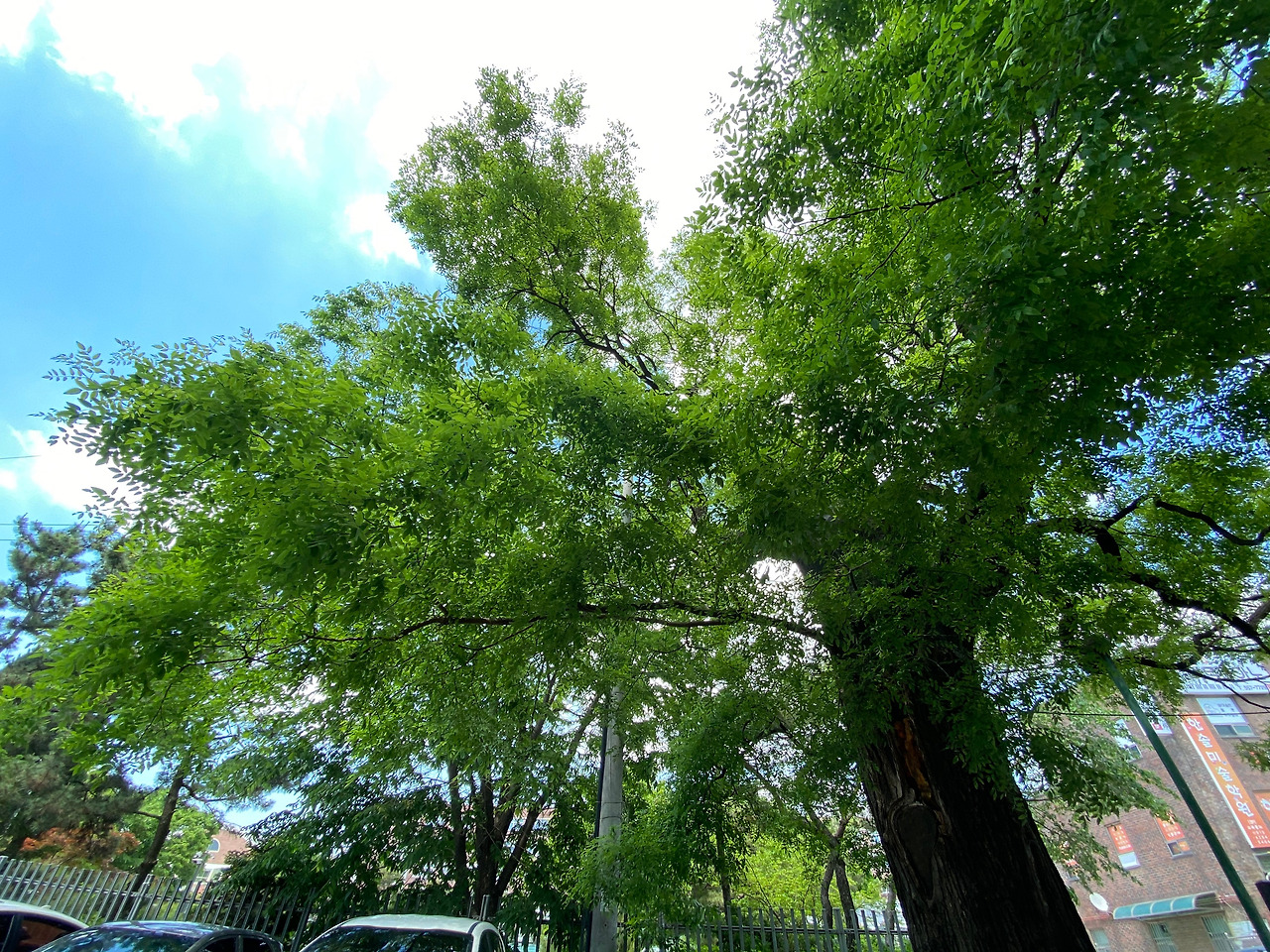 남양 풍화당_20.05 (52).jpg