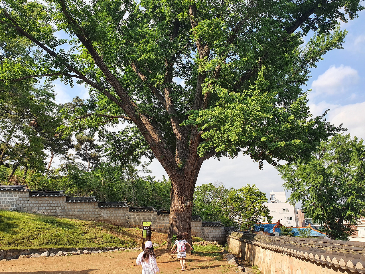 남양 항교_20.05 (35).jpg