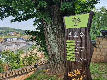 남양 항교_20.05 (28).jpg