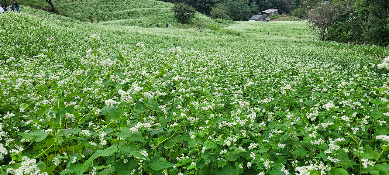 KakaoTalk_20251004_191134530_16 (1).jpg