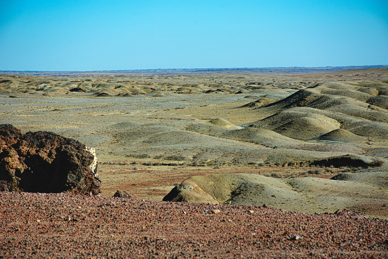 steppe-5234116_1280.jpg