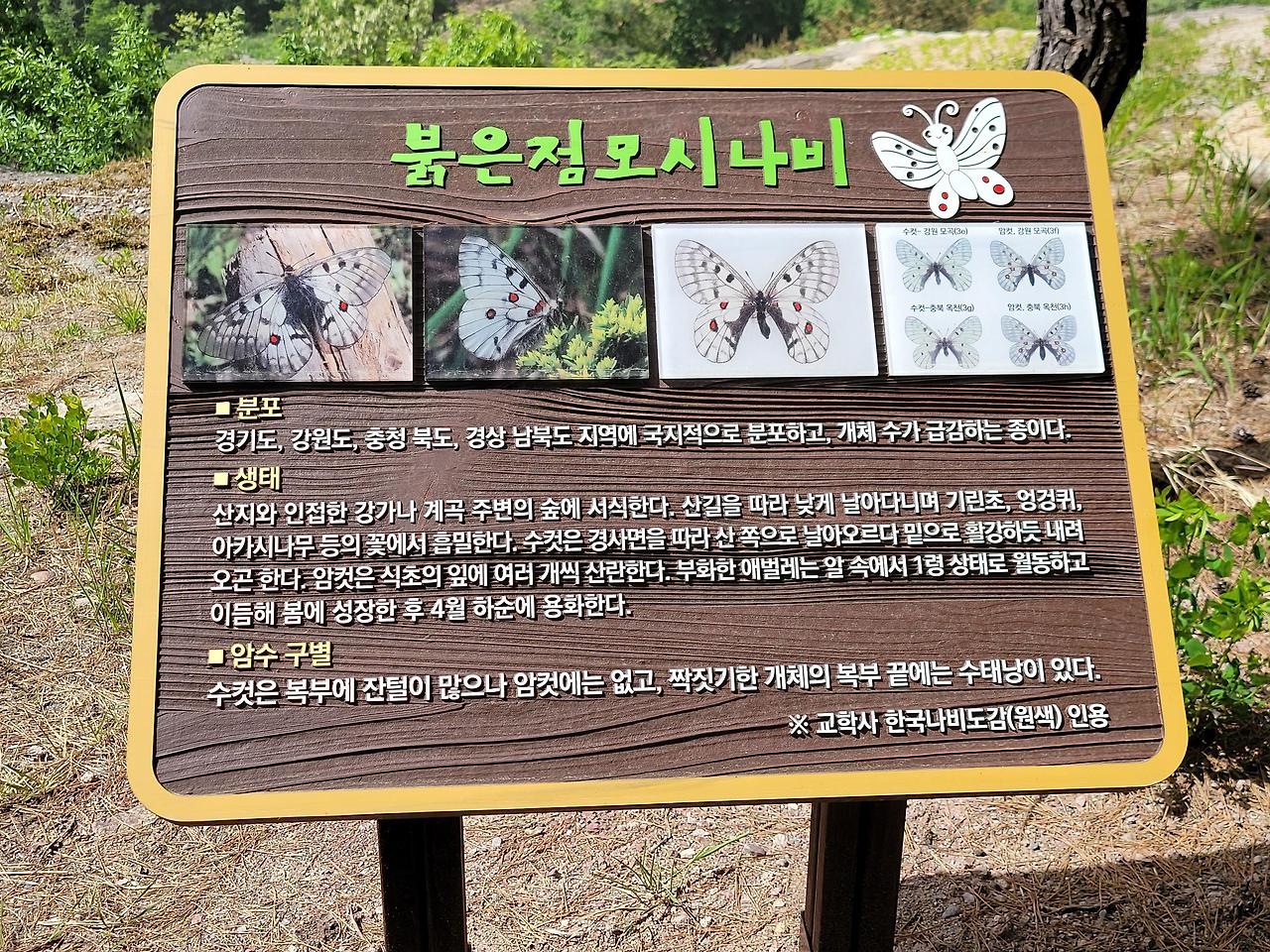 붉은점 표지판.jpg