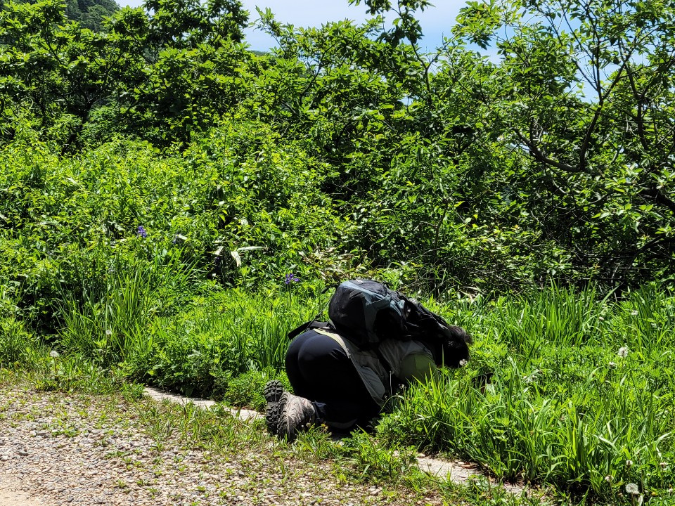 지리산 노고단 절.jpg