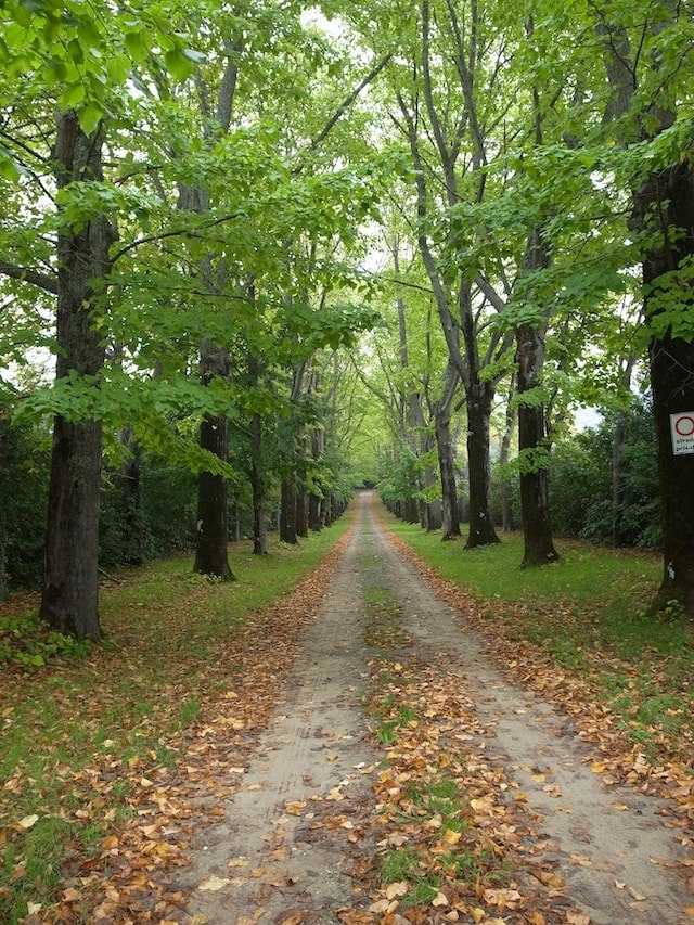 Photo by Yc Liao on Unsplash.jpg