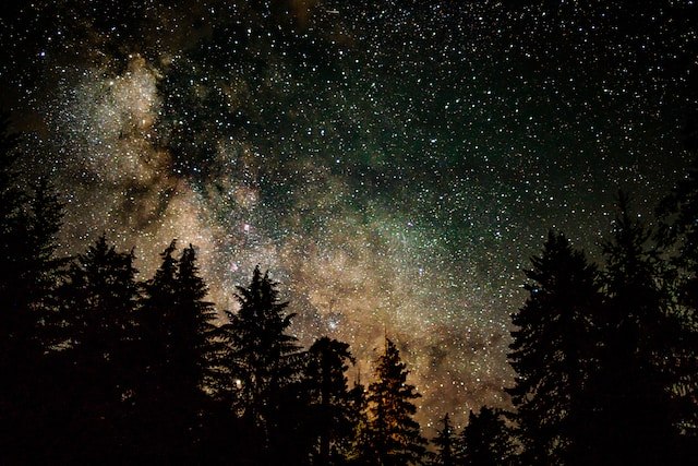 Photo by Clint McKoy on Unsplash.jpg