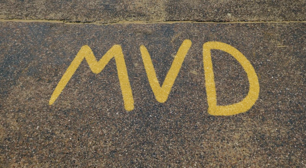 mvd www.atribecalledhumans.com.jpg