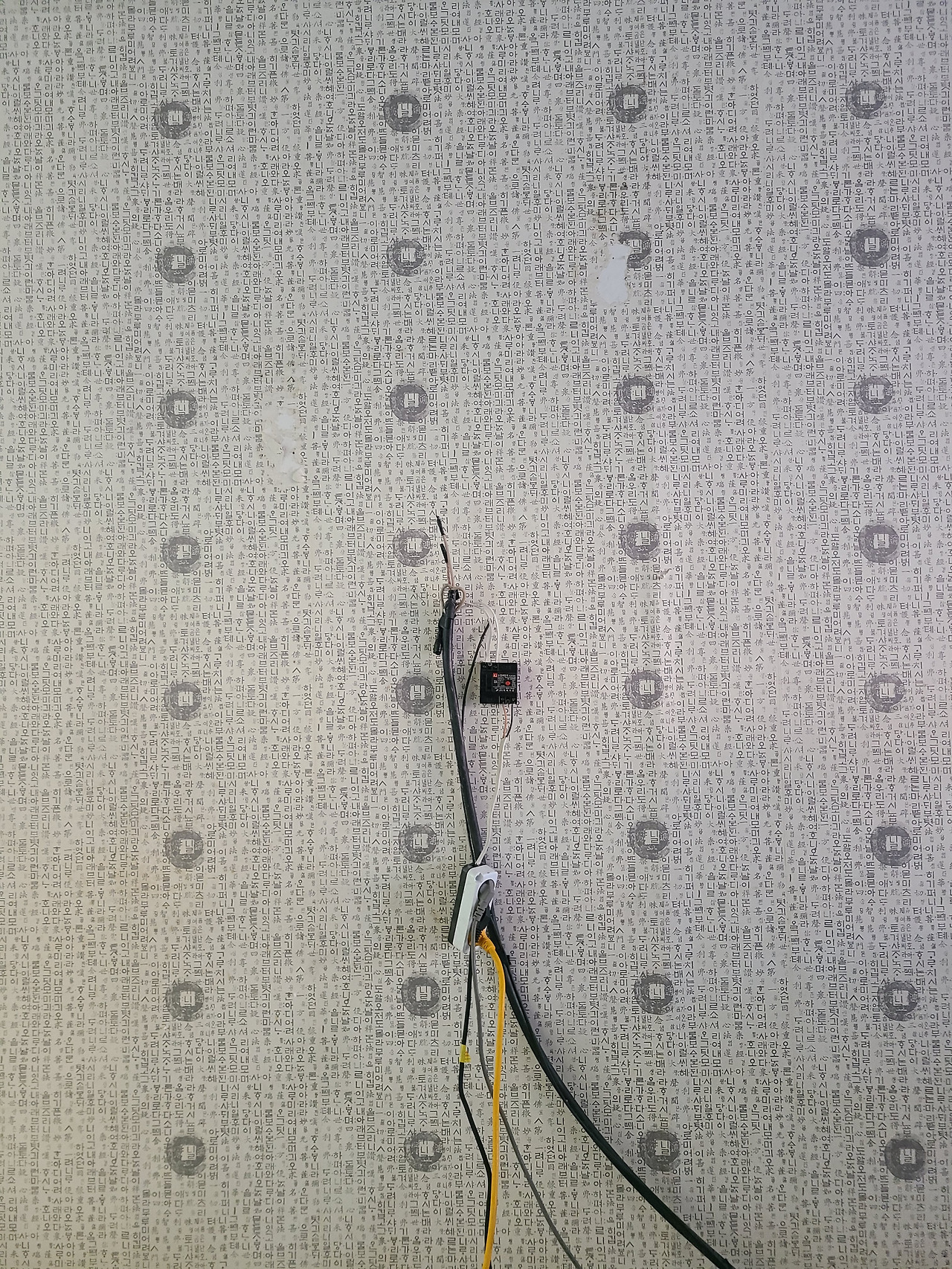 2021-12-19 16.01.05.jpg