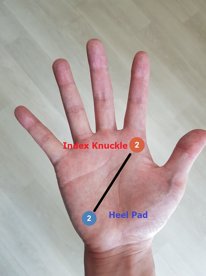 백핸드 오른쪽 손 그립 잡는 법.jpg