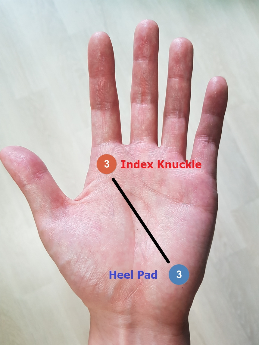 백핸드 왼쪽 손 그립 잡는 법.jpg