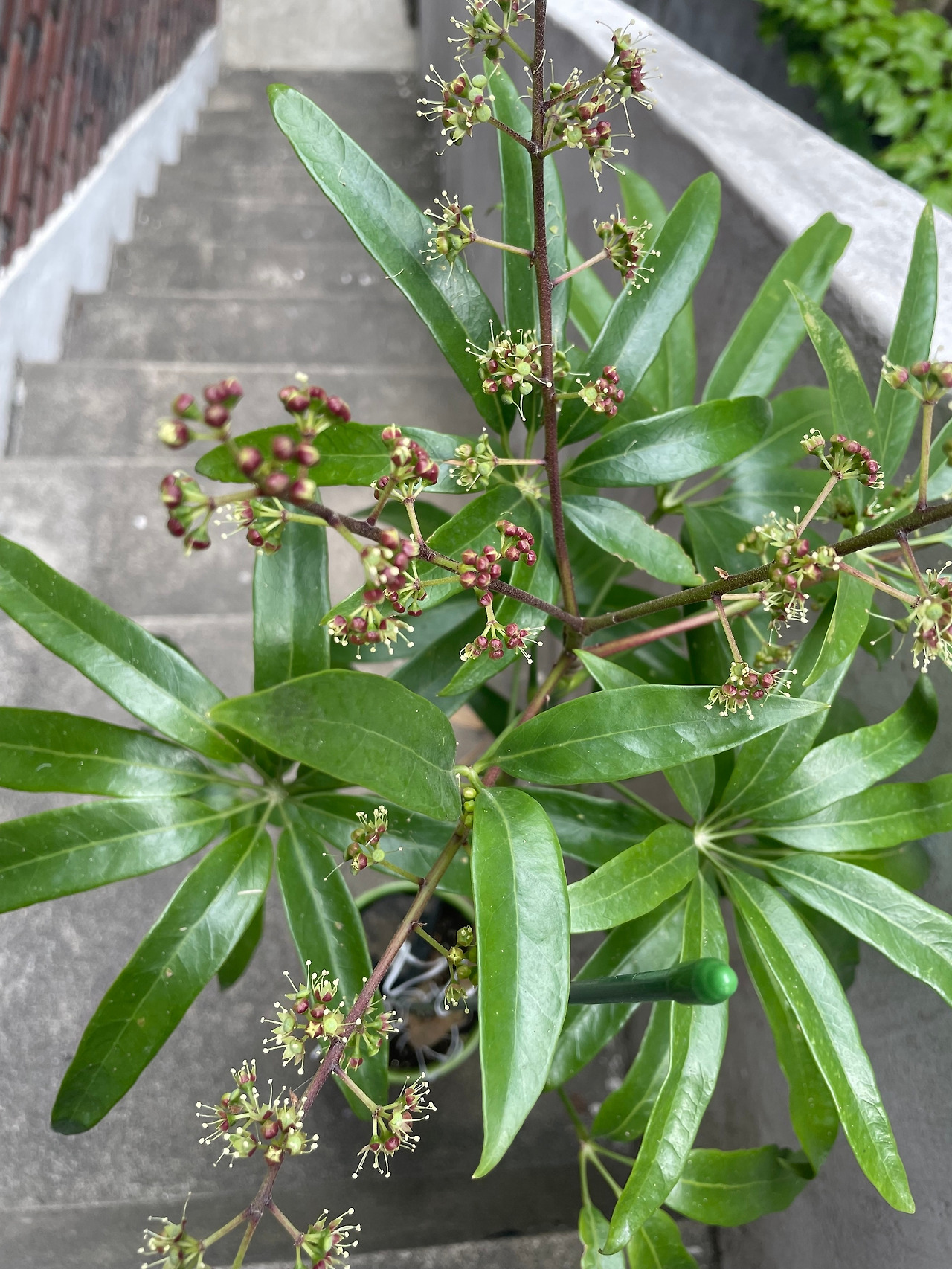 IMG_3202 복사본.jpg