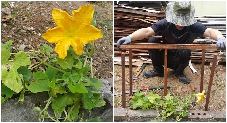 다운로드 (13).jpg