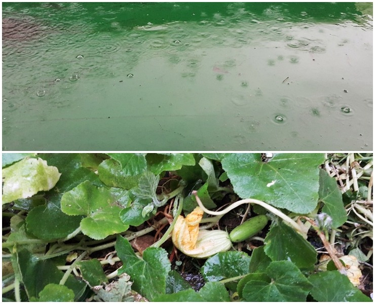 다운로드 (23).jpg