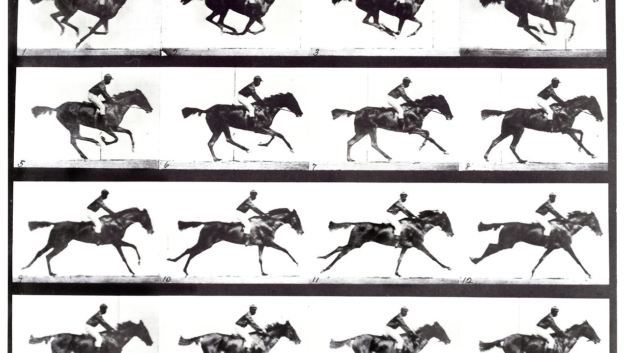 high-speed-sequence-of-a-galloping-horse-and-rider-680806289-59c0259c68e1a20014827f5f (1).jpg