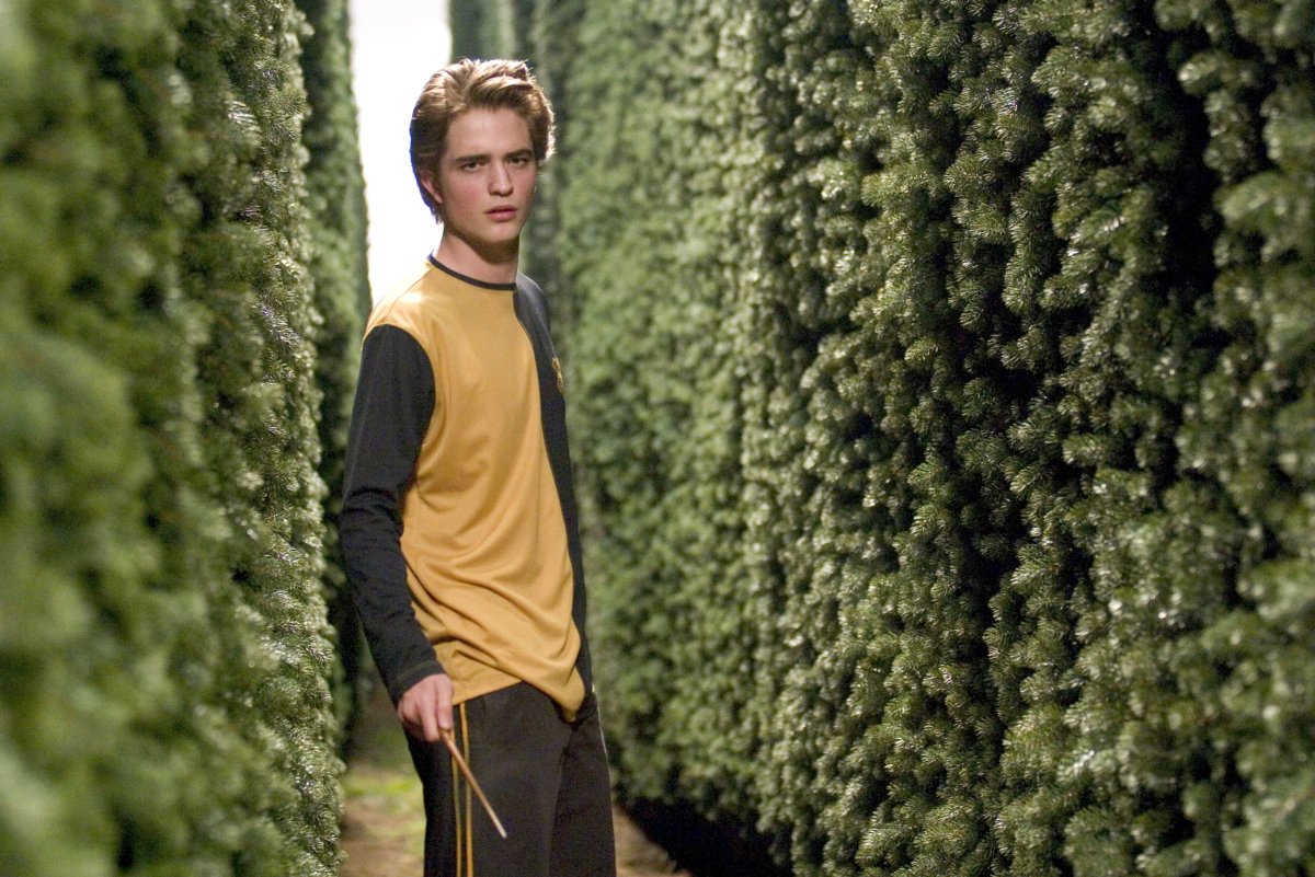 CedricDiggory_WB_F4_CedricDiggoryInTriwizardMaze_Still_080615_Land.jpg