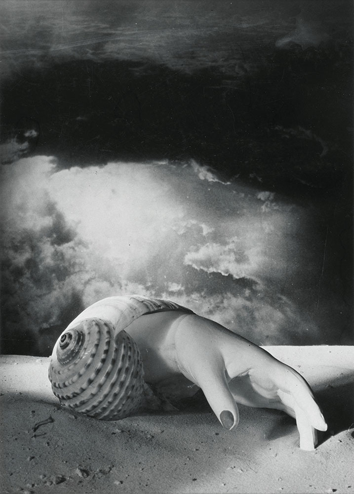 Dora-Maar-Untitled-Hand-Shell.jpg