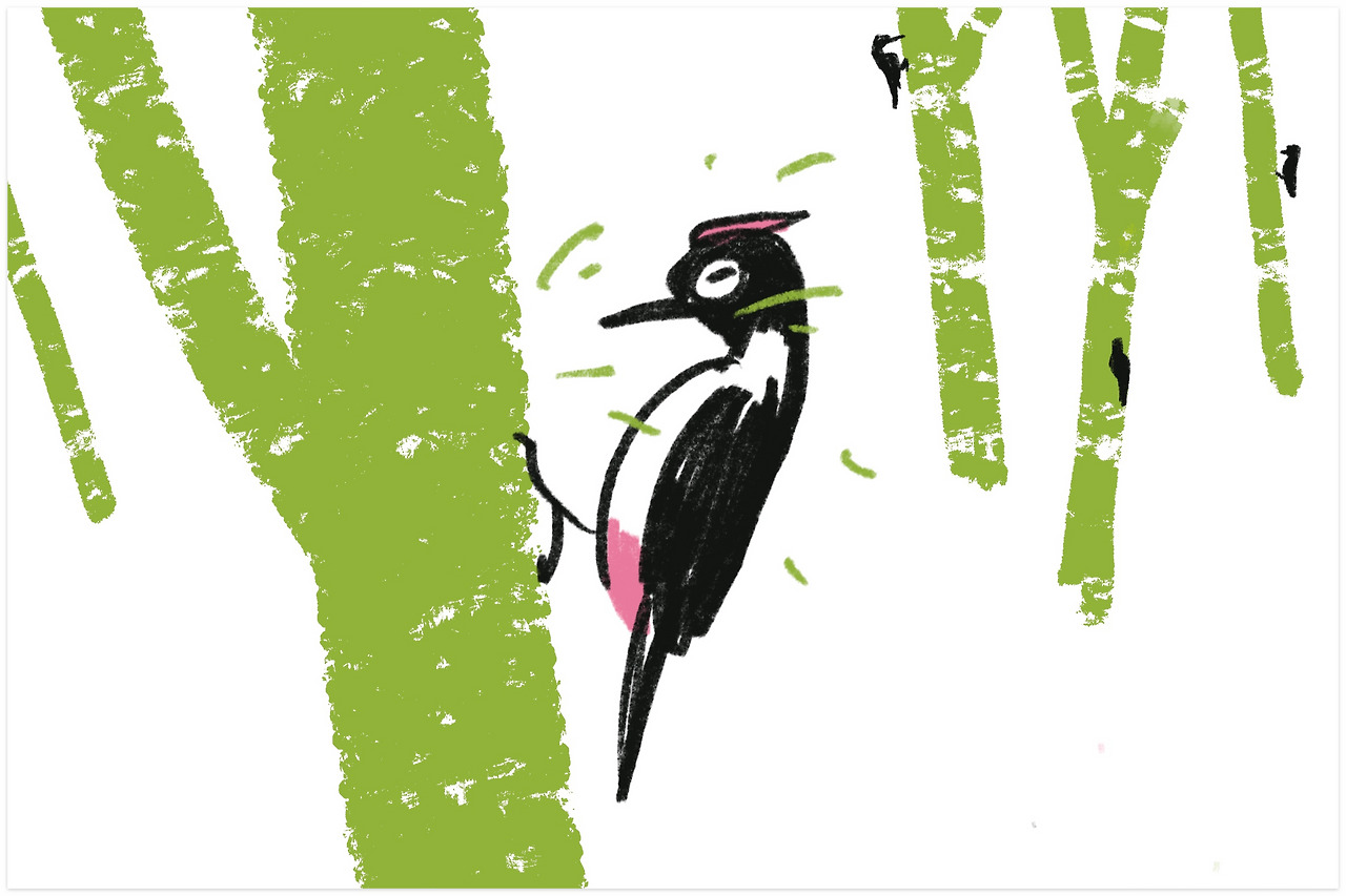 제목_없는_아트워크 36.jpg