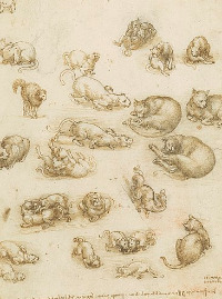 465px-Leonardo_da_Vinci_-_RCIN_912363,_Cats,_lions,_and_a_dragon_c.1517-18.jpg