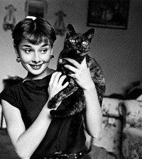 audrey-hepburn-recording-artists-and-groups-photo-u35.jpg