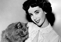 elizabeth-taylor-recording-artists-and-groups-photo-u51.jpg