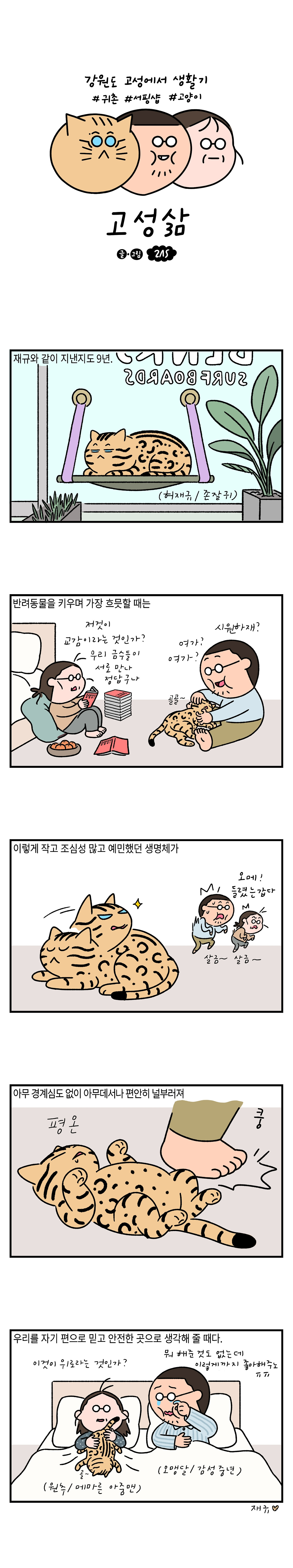 고성3_080반려동물의 위로.jpg