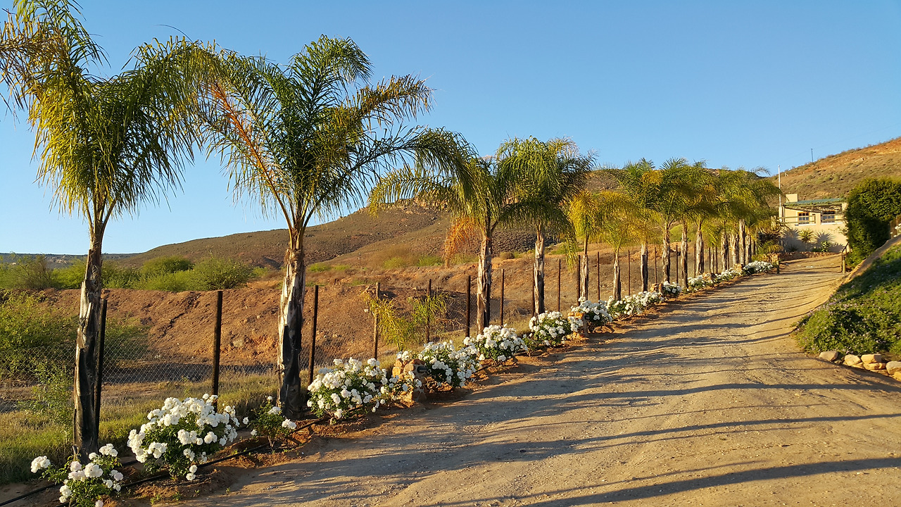 20171010_064727 - 복사본.jpg