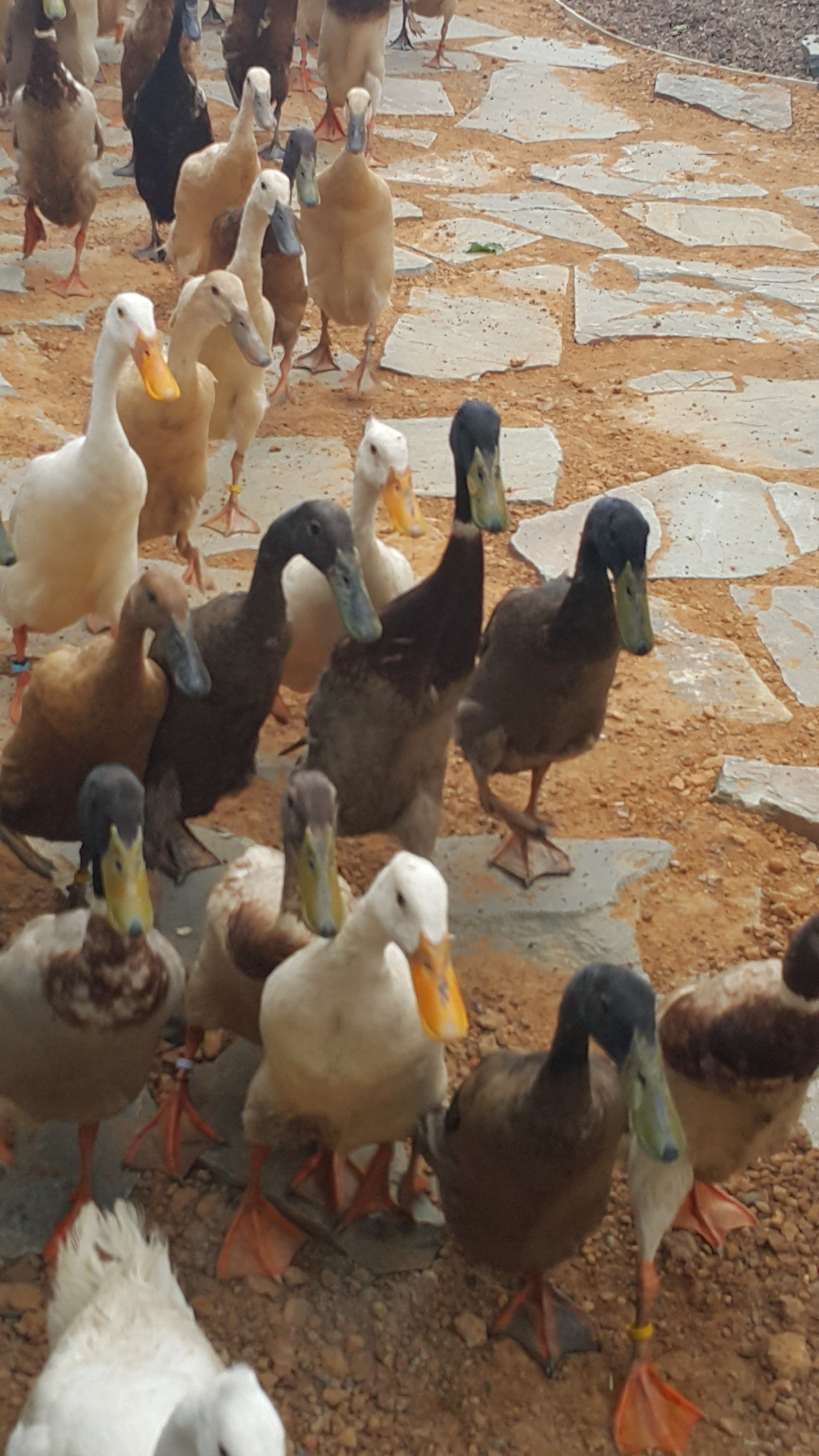 20171014_153052 - 복사본.jpg