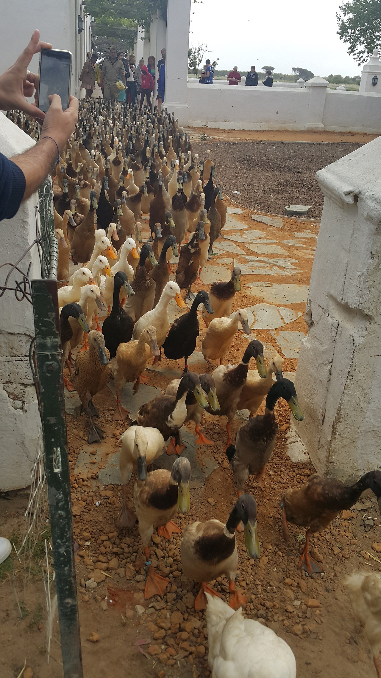 20171014_153054 - 복사본.jpg