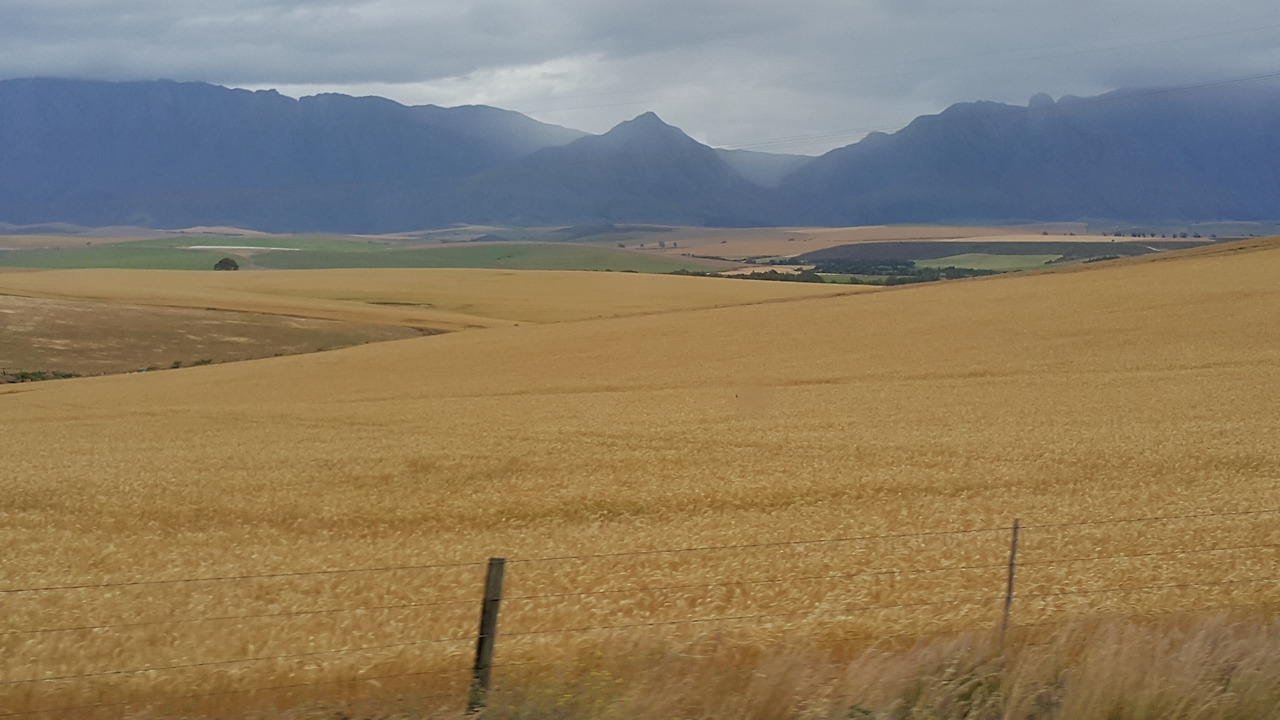 20171019_111107 - 복사본.jpg