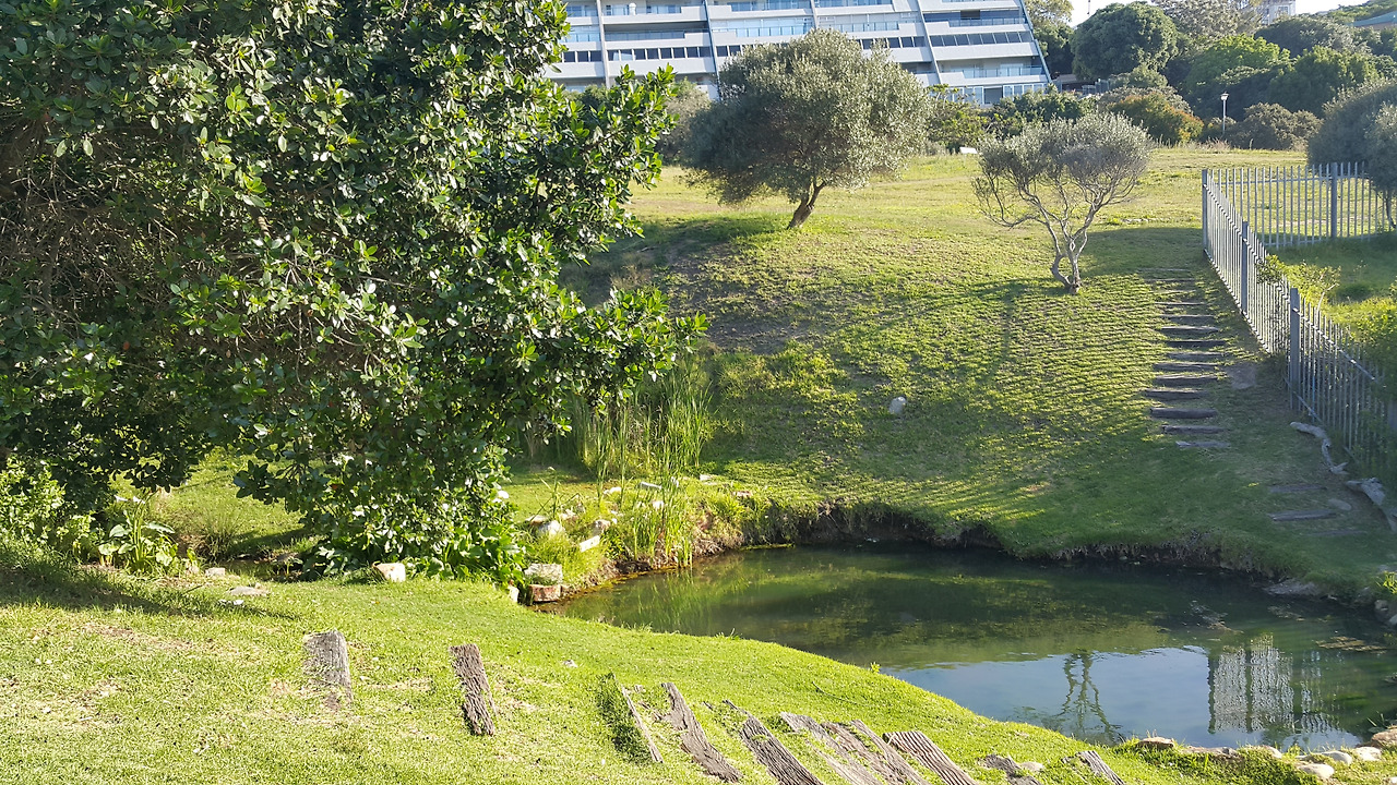 20171019_165646 - 복사본.jpg