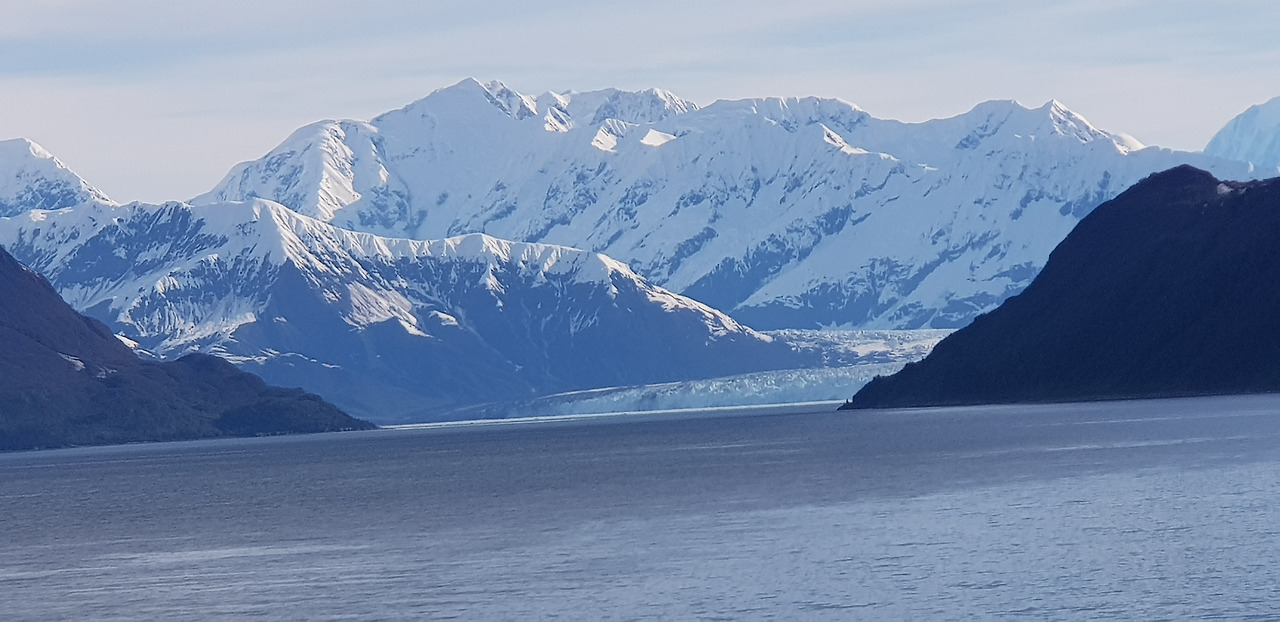 20180531_073756 - 복사본.jpg